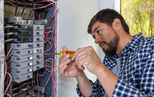 Best Electric Panel Repair  in Point, TX